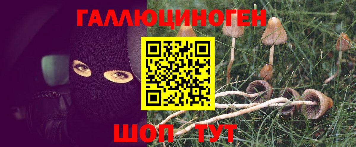 Тула  Псилоцибиновые грибы Magic Shrooms  Псилоцибиновые грибы GOLDEN TEACHER  Вход с VPN 